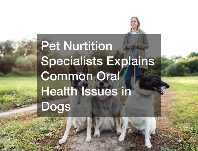 Pet Nurtition Specialists Explains Common Oral Health Issues in Dogs